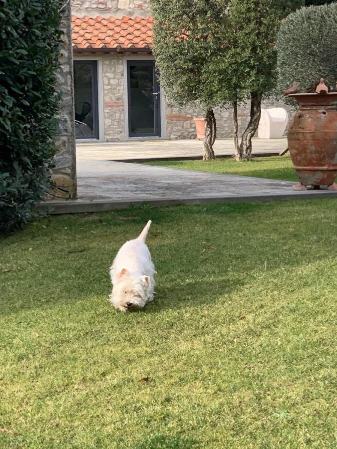Appartamento In Villa Con Piscina - Mhateria Relais Rignano sullʼArno Exteriör bild