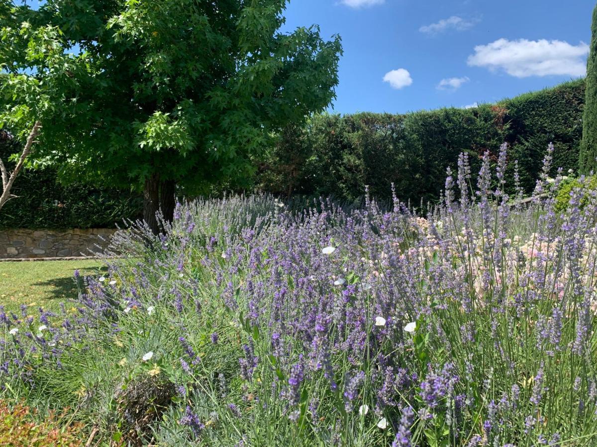 Appartamento In Villa Con Piscina - Mhateria Relais Rignano sullʼArno Exteriör bild